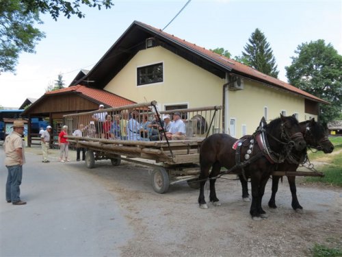 in so nas odpeljali na ogled jezera ...